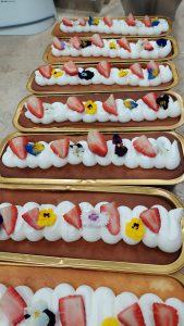 WhatsApp Image 2022-05-19 at 16.15.41